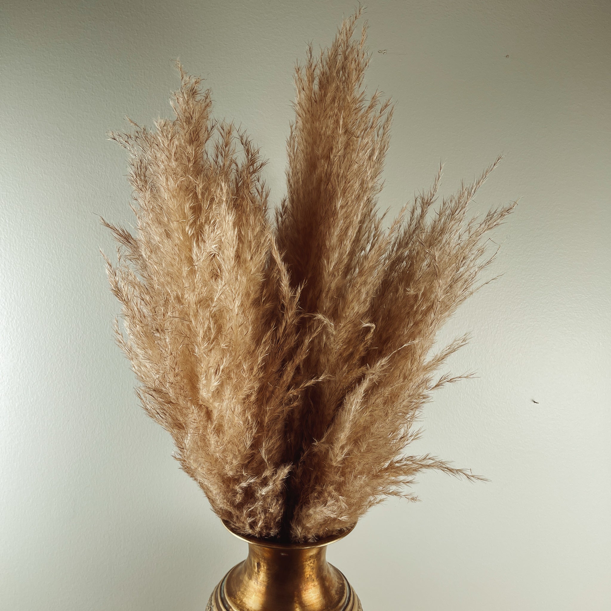 Brass Vase Pampas Arrangement