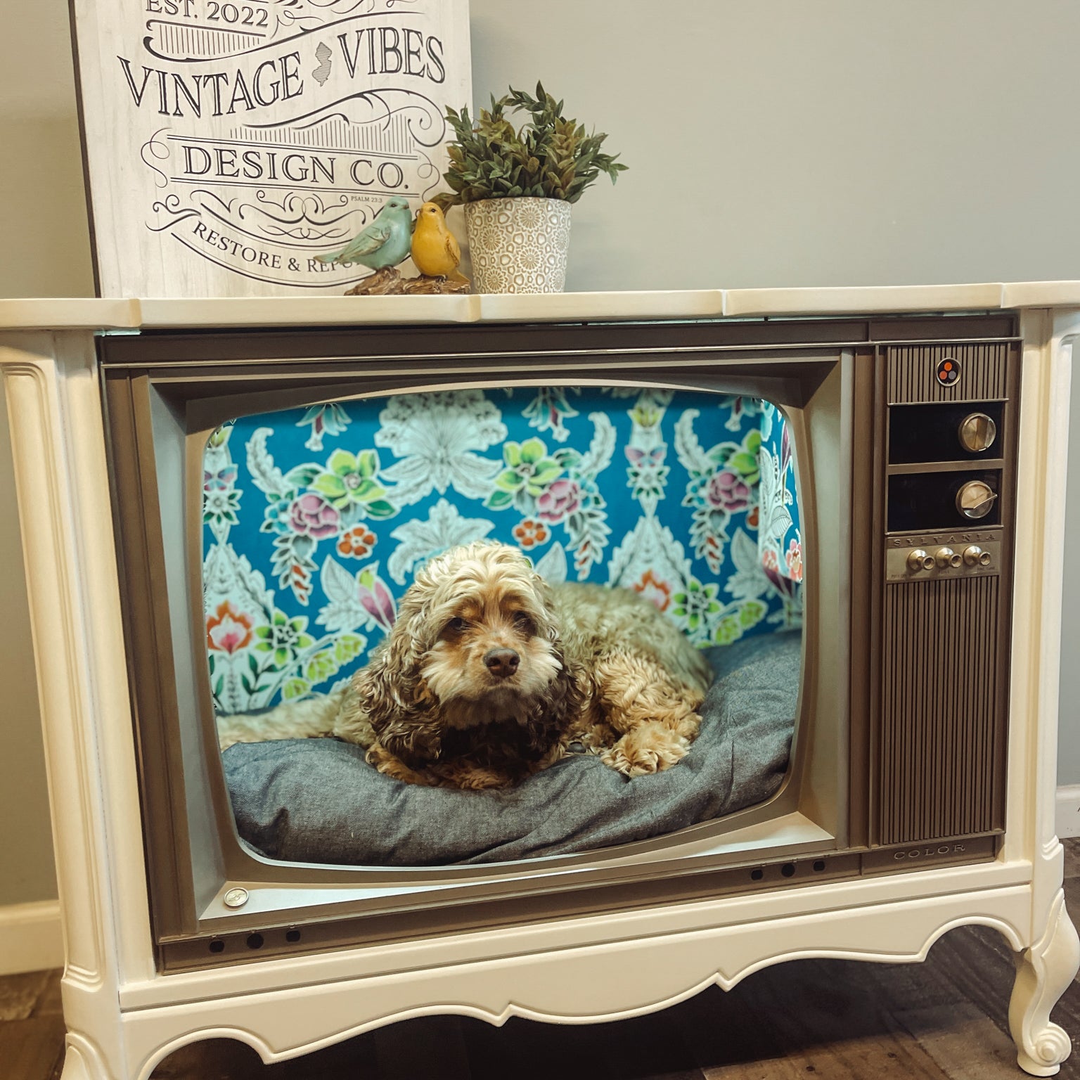 Vintage TV Cabinet Pet Bed - White